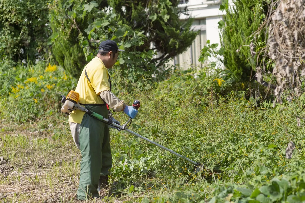 除草作業